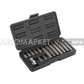 Набор бит TORX T20-55 15пр Сервис ключ 76445